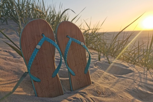 Wat wij bieden image 1